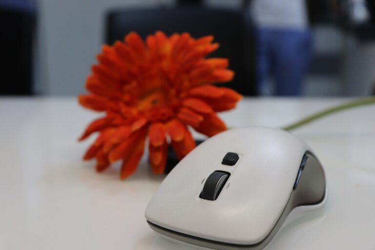 10 Best Free Online Tools for Graphic Design Enthusiasts