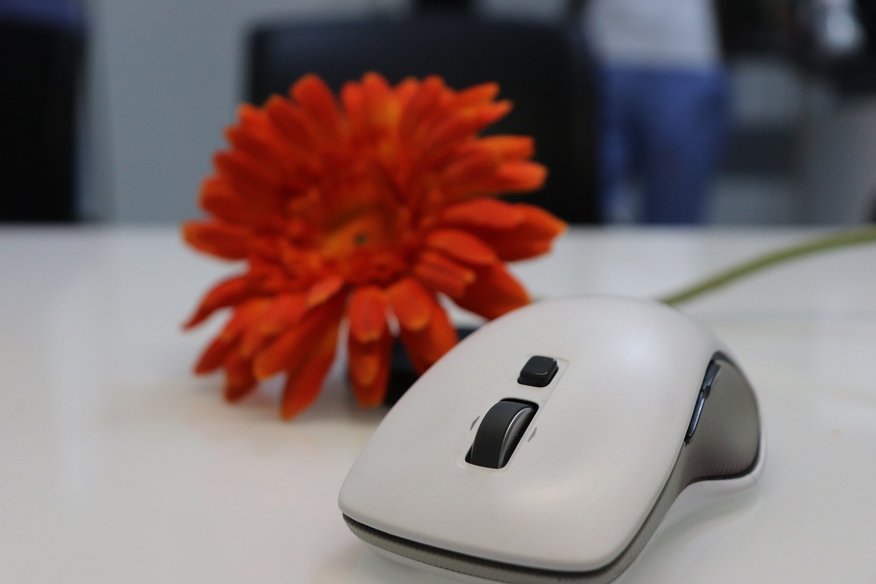 10 Best Free Online Tools for Graphic Design Enthusiasts